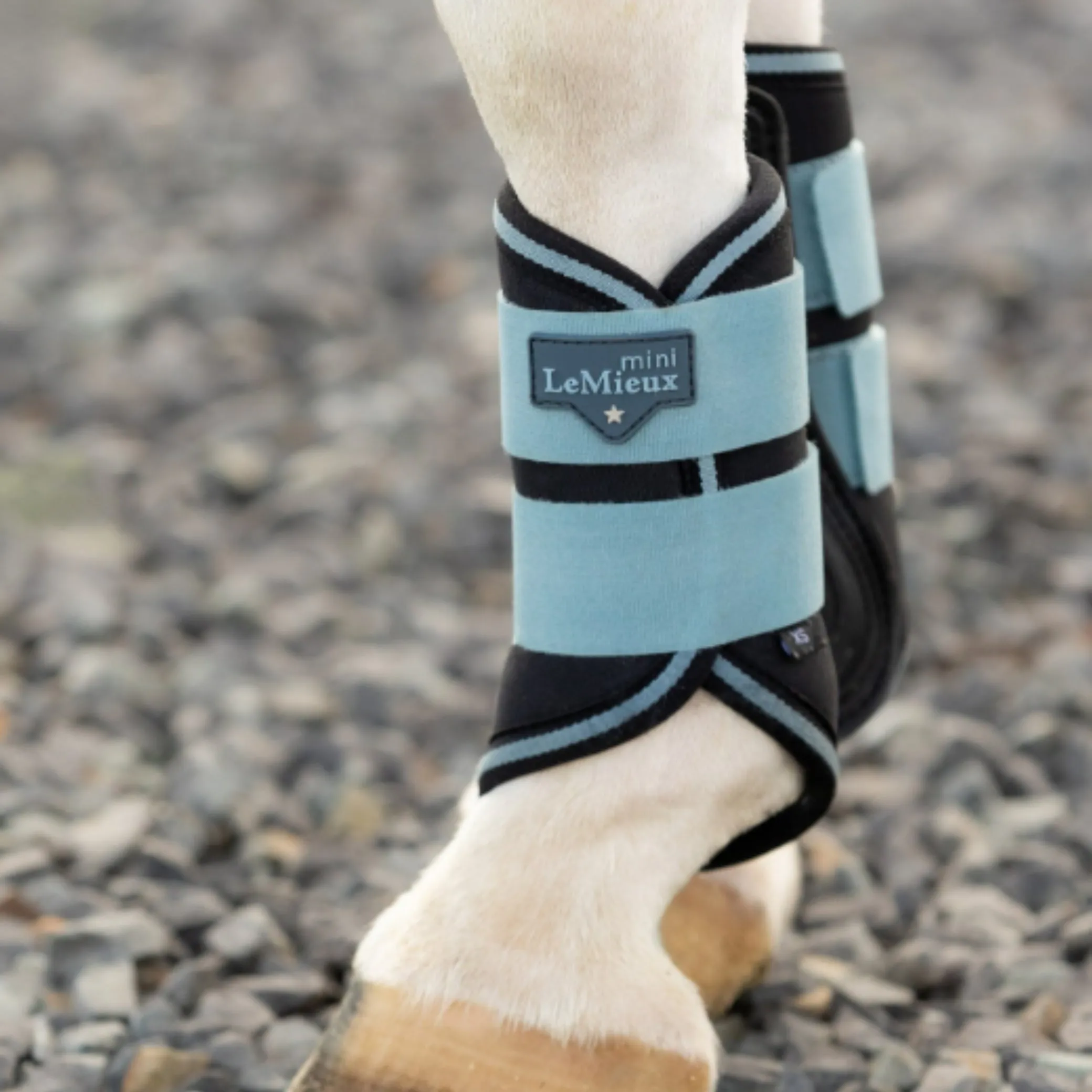 Lemieux Mini Brushing Boots