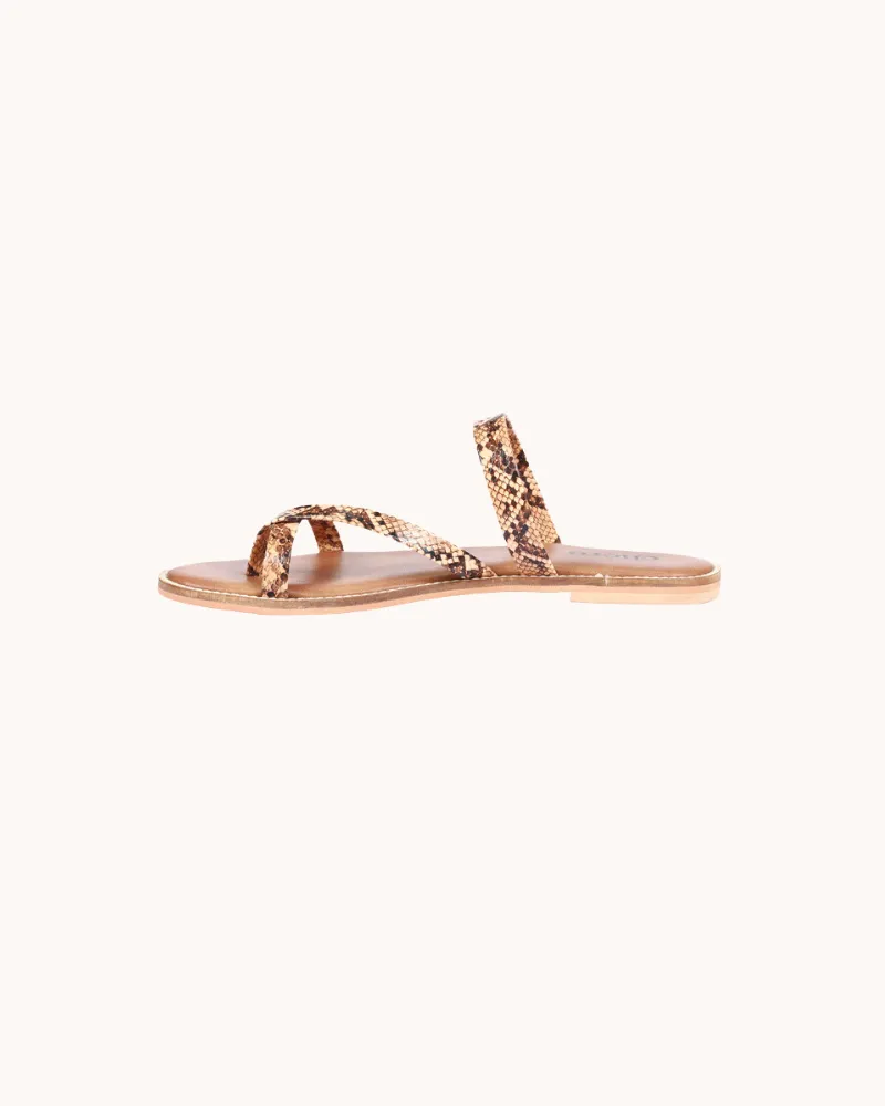 Women's Brown Sassy Snakeprint Flats